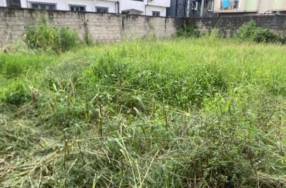 400sqm Dry Plot of Residential Land – Startimes Estate, Ago/Okota