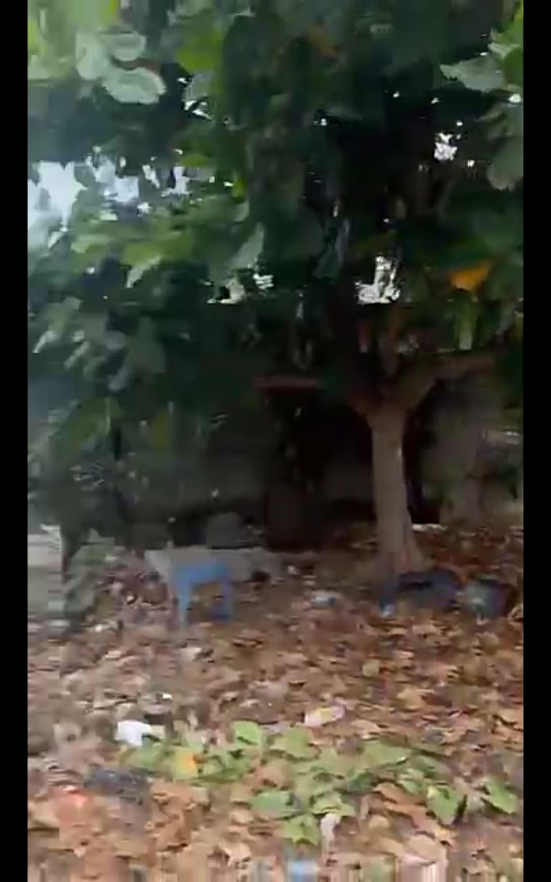 Half Plot of Dry Land for Sale at Gloryland Estate, Ago Palace Way