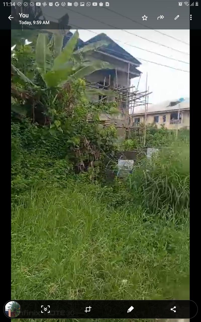 Half Plot of Dry Land for Sale Along Bayo Oyewale, Ago Palace Way