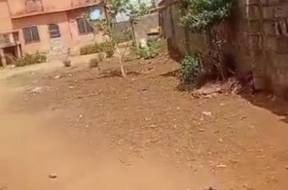 Mixed Residential & Commercial Property with Shops for Sale in Abaranje Road, Ikotun