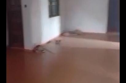 3-Bedroom Flat To Let Off Ejigbo–Idimu Road