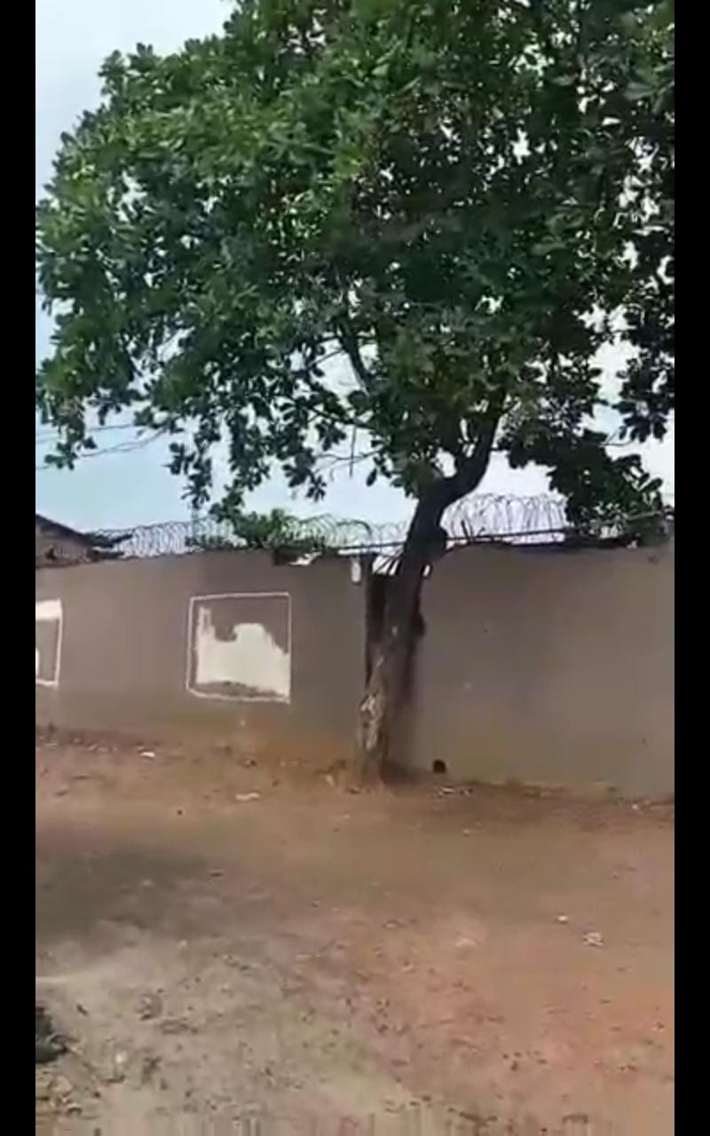 2 Acres of Prime Land – 12 Plots Along Lagos–Abeokuta Expressway