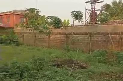 Full Plot of Dry Land at Ijegun Ije-Ododo