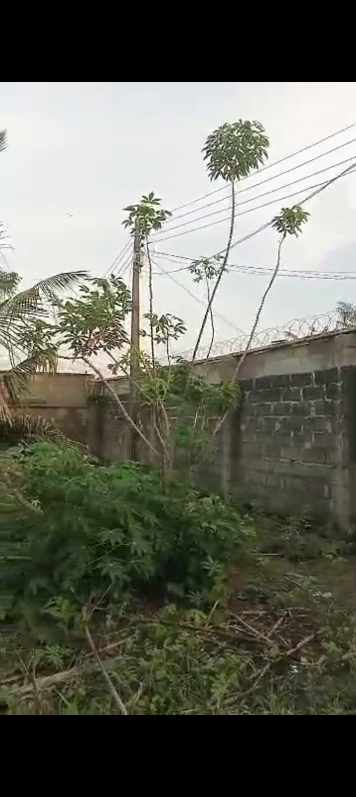 Full Plot of Dry Land at Ijegun Ije-Ododo