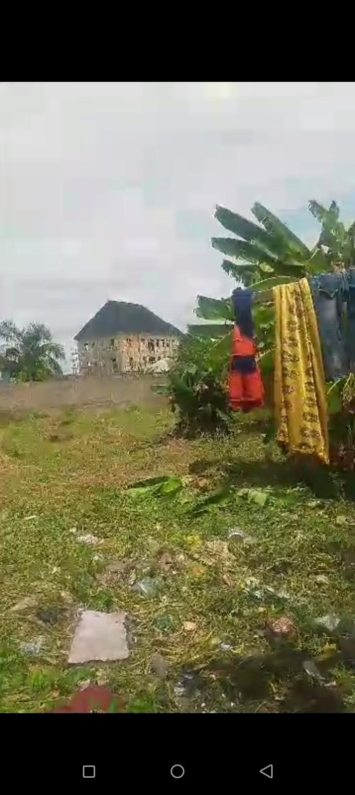 Full Plot of Dry Land at Across Community Bridge, Bucknor