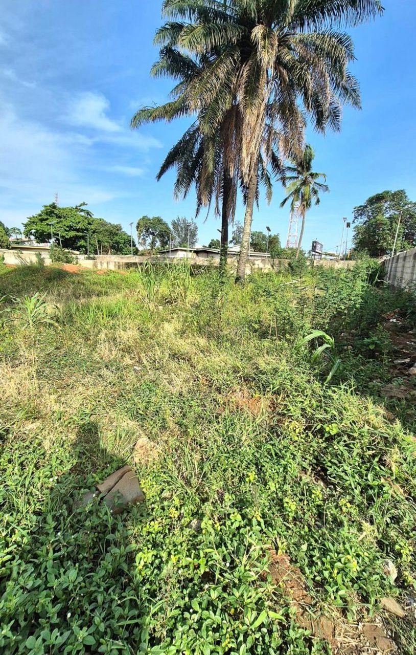 STRATEGIC 4,136 SQM LAND FOR SALE – GRA IKEJA