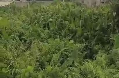 Half Plot of Land For Sale – Ijegun