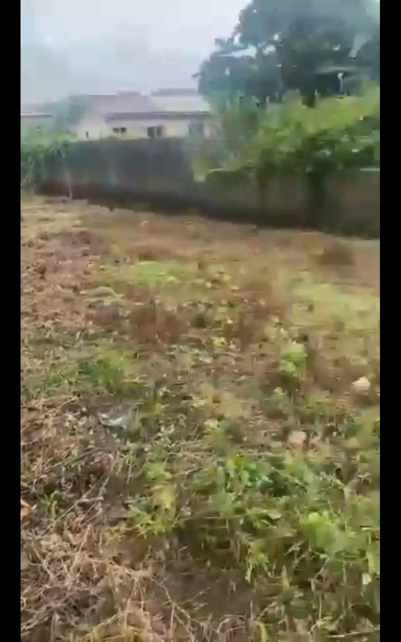 Half Plot of Land – Agric, Ikorodu