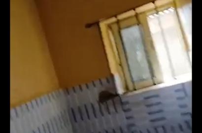 Mini Flat to Let at Ikola
