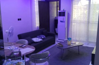 2-Bedroom Apartment for Rent at Lekki Phase 1