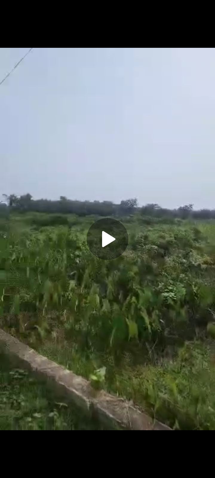 Over 100 Acres for sale @Iwerekun Awoyaya close to coastal road