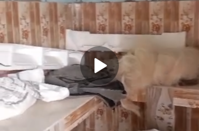 Standard and Spacious 2 bedroom @Abeodun abbey off moshalasi road Egan