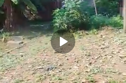 Plot of land @Chris Idowu Street by Ori-Oke bus stop  Close to the main Road.