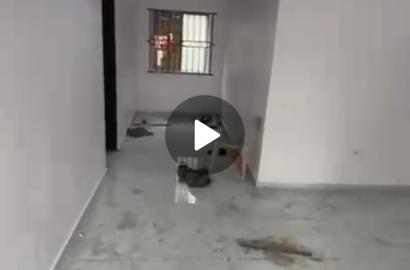 Renovated 3 bedrooms ground flat @Sholuyi Gbagada