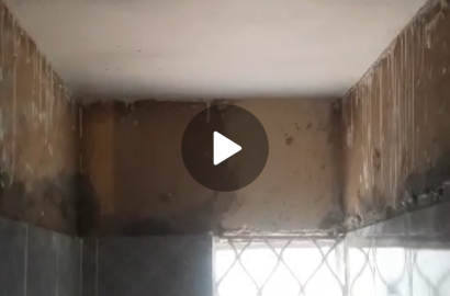 CLEAN MINI FLAT @Okeafa canoe