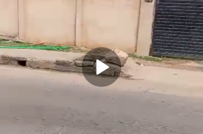 Block of flat of 4nos of 3bdrms, 2nos of miniflats with a bungalow setback