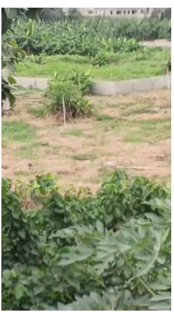 Half Plot of Land for Sale Close to Road in Bucknor, Lagos