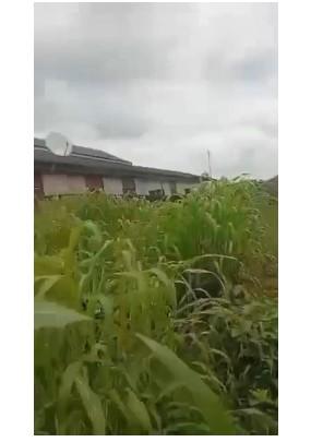 75 Plots of Land for Sale – OPIC, Berger