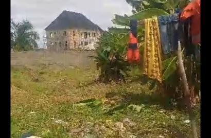Full Plot of Land with Band A Electricity | 📍Across Community Bridge, Bucknor