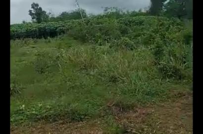 77 Acres of Investment Land Behind OPIC Estate | 📍Agbara, Ogun State