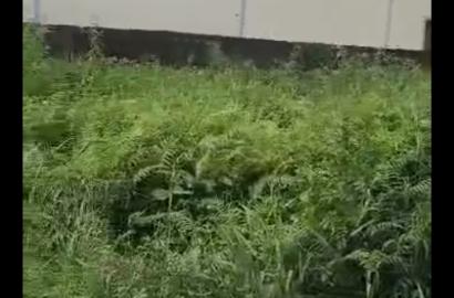 Land 60×120ft at Startimes Estate, Ago Okota