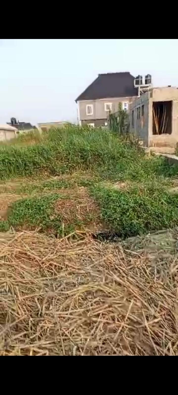 Half Plot of Land for Sale – Agodo Egbe (Off Community Road)