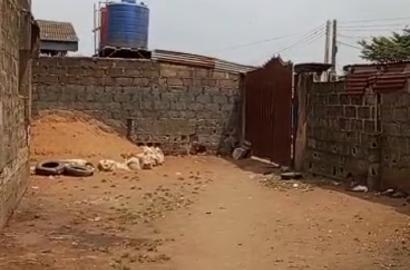 Full Plot of Land with Lintel Structure – Ikotun/Igando Road