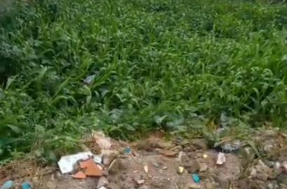Half Plot of Land for Sale – Bucknor, Lagos