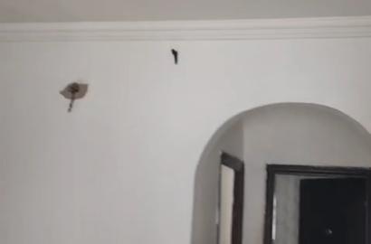 Mini Flat for Rent – Greenfield Estate, Ago Palace Way, Lagos