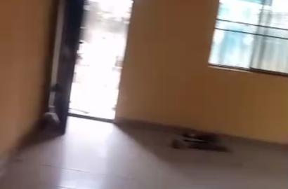 3-Bedroom Flat for Rent – Peace Drive Estate, Oke-Afa, Isolo