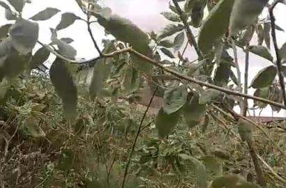 Property Type: Half Plot of Land (Fenced with Gate + Borehole)ijegun