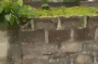 🏞️ Standard Plot of Land 📍 Location: Peninsular Estate, behind Blenco Supermarket, Sangotedo, Lagos