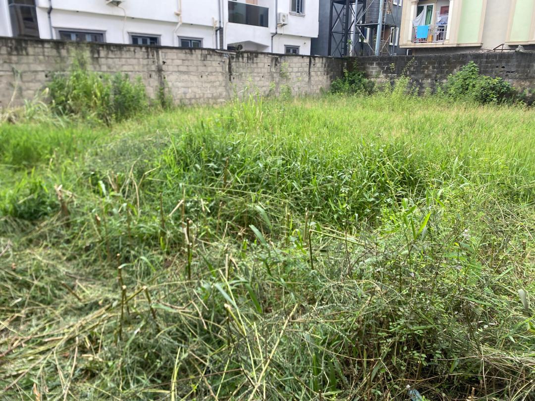 400sqm Dry Plot of Residential Land – Startimes Estate, Ago/Okota