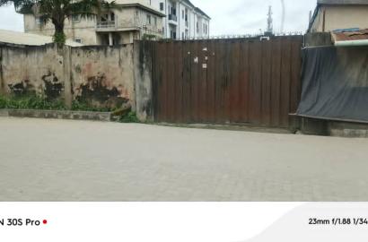 Half Plot of Land | Canal Estate, Okota