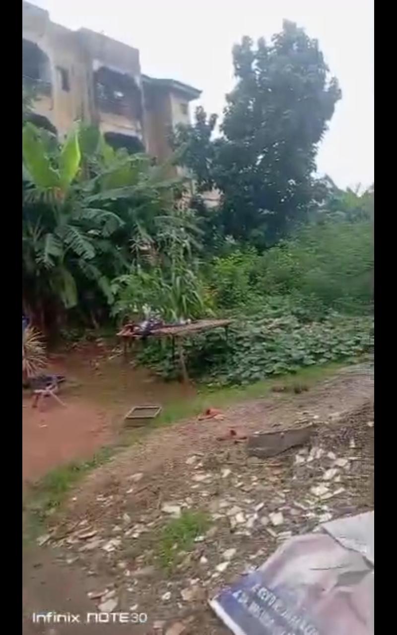 Half Plot of Dry Land | Ago Palace Way, Lagos