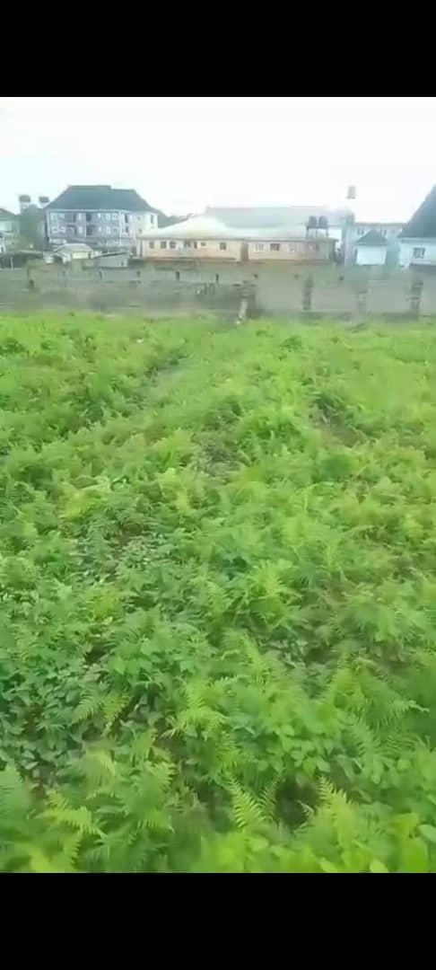 Full Plot of Land for Sale | Ago Palace, Lagos