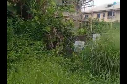 Half Plot of Dry Land for Sale Along Bayo Oyewale, Ago Palace Way