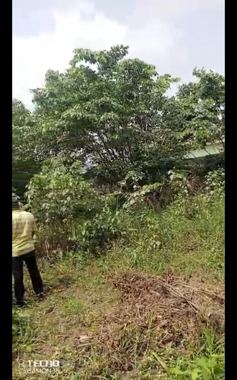Warehouse & 2 Shops on Over a Plot of Land for Sale at Oke-Afa, Isolo
