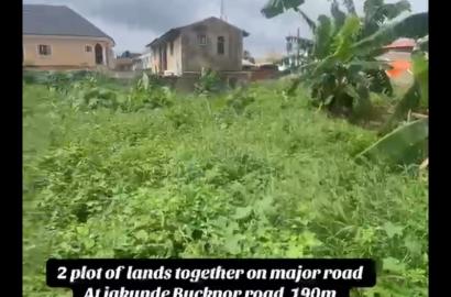 2 Plots of Fenced Land for Sale on the Main Road Before Bucknor