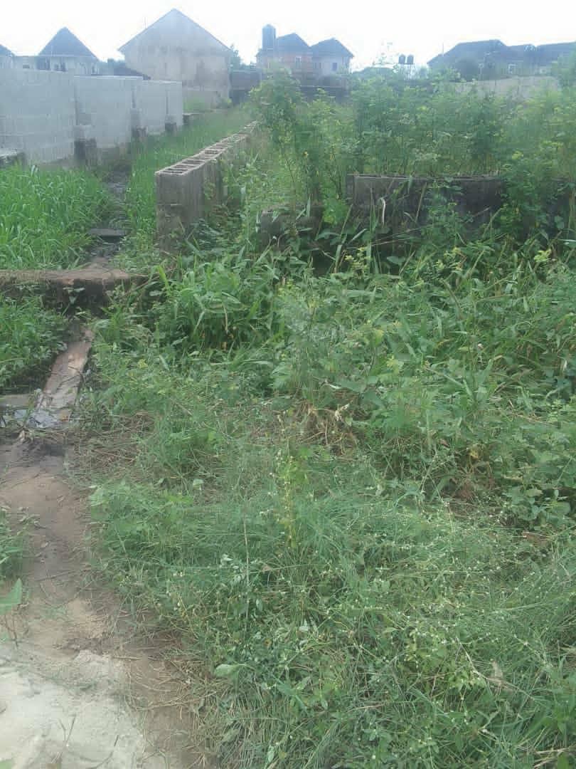 Full Plot of Dry Land at Bucknor, Lagos
