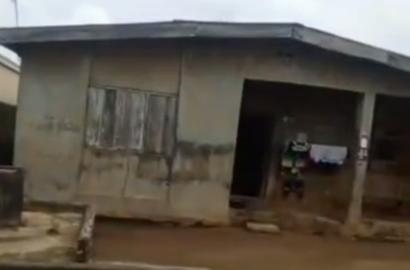 Dry Bungalow on Full Plot of Land for Sale in Ijegun, Lagos