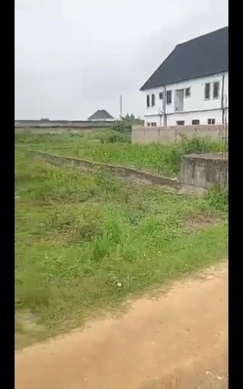 Half Plot of Land for Sale at Bucknor Estate, Elemu Bus Stop, Lagos