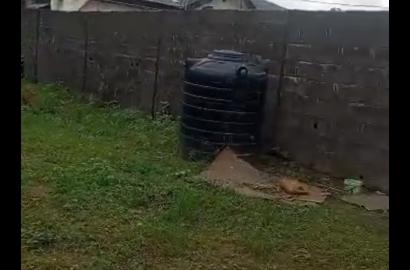 Full Plot of Dry Land at Ejigbo–Idimu Road