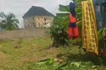Full Plot of Dry Land at Across Community Bridge, Bucknor