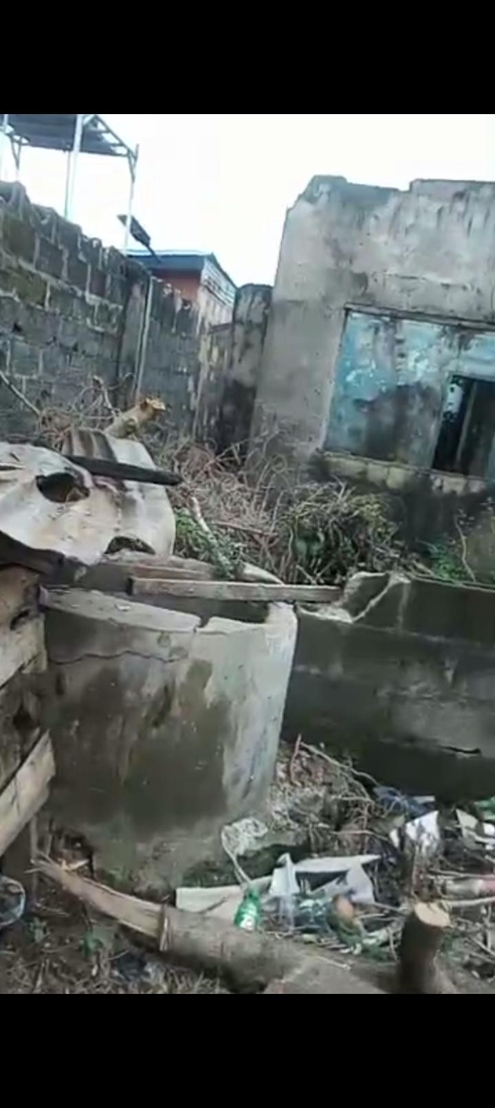 60 × 120ft Land at Apana Street, Ejigbo