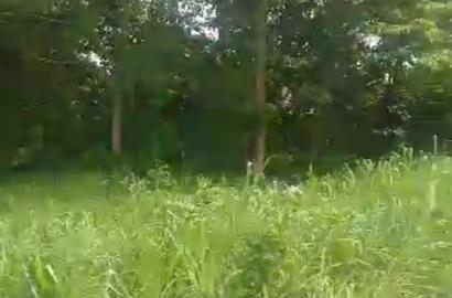 3 Plots of Dry Land at Across Community Bridge, Bucknor