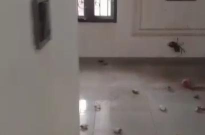 Mini Flat To Let – Ago Palace Way, Okota