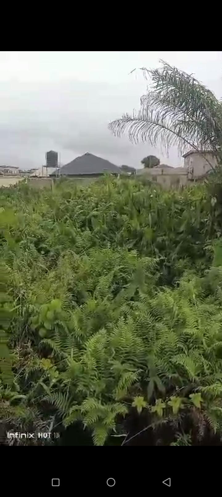 Half Plot of Land For Sale – Ijegun