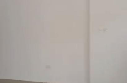 Decent and spacious 3 bedroom ground flat