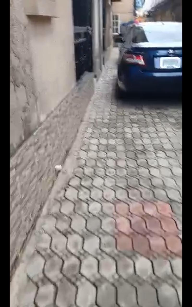 Mini 2-Bedroom Flat for Rent – Ajao Estate